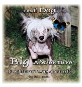 Small Dog - Big Adventure